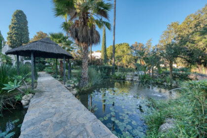 ee65c25f15962514ed8dcaca9b05f291 - 19