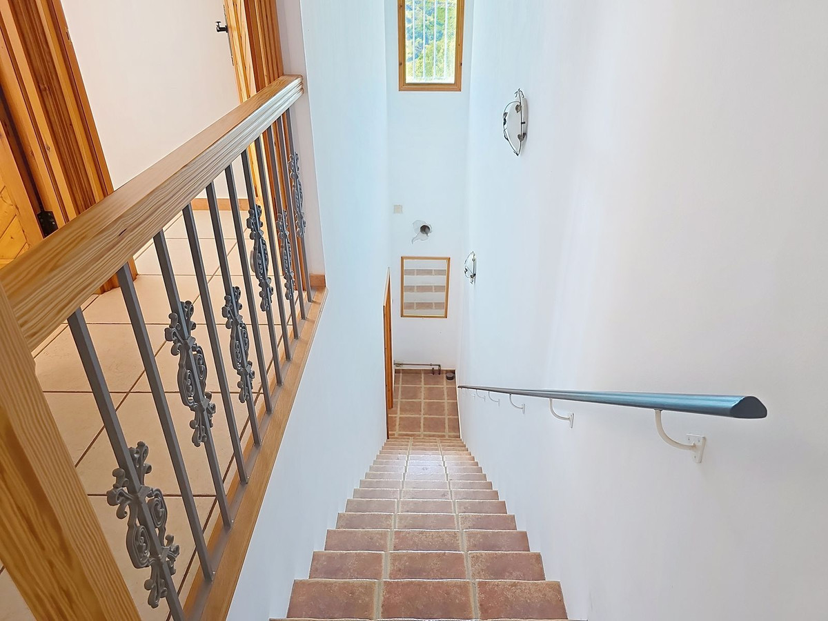 f21fbde4dc7c928429a8dfbba39157a2 - 36