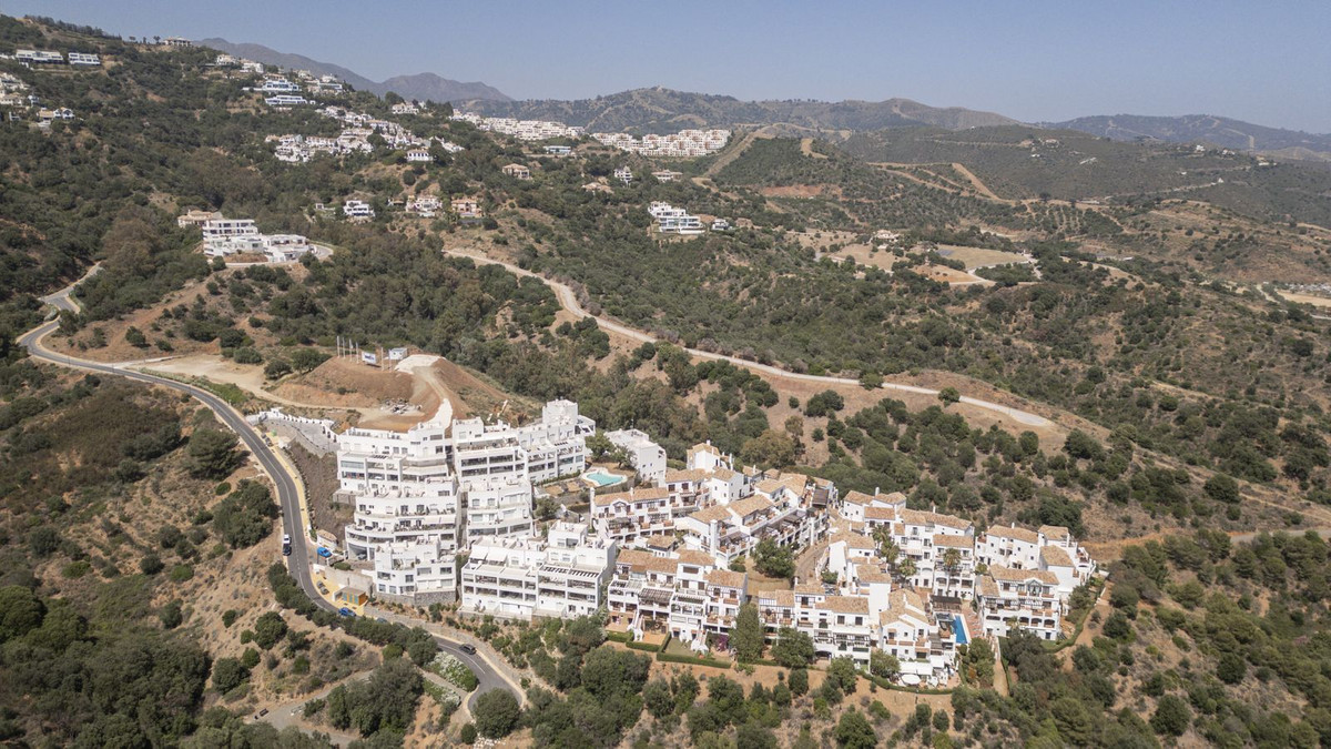 f23cbf8ca1cda7b8f703e5fe0a613993 - 40