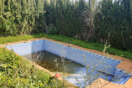 f3ea0527a2110b7682636362b2818526 - 14