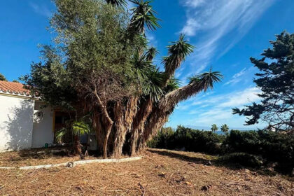 f3ea0527a2110b7682636362b2818526 - 6