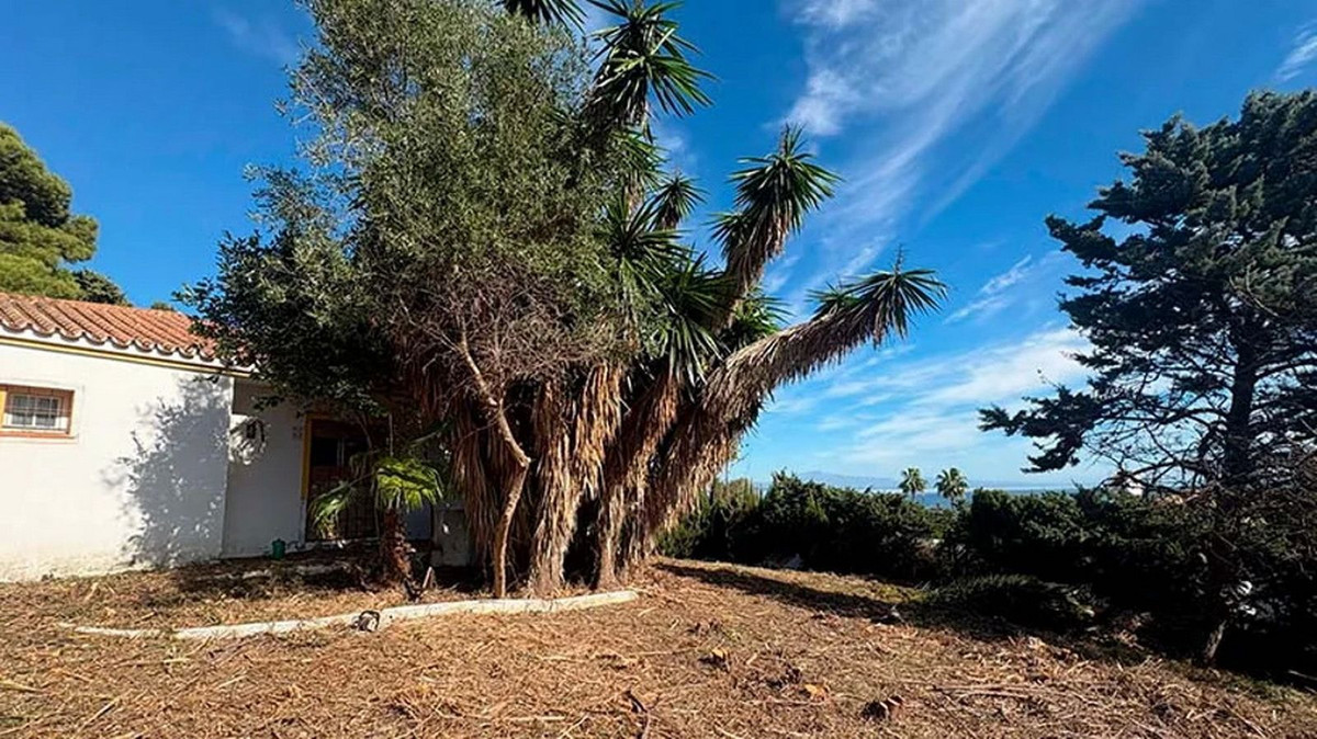 f3ea0527a2110b7682636362b2818526 - 6