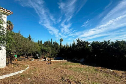 f3ea0527a2110b7682636362b2818526 - 7