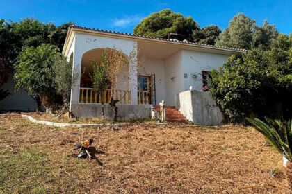 f3ea0527a2110b7682636362b2818526 - 8