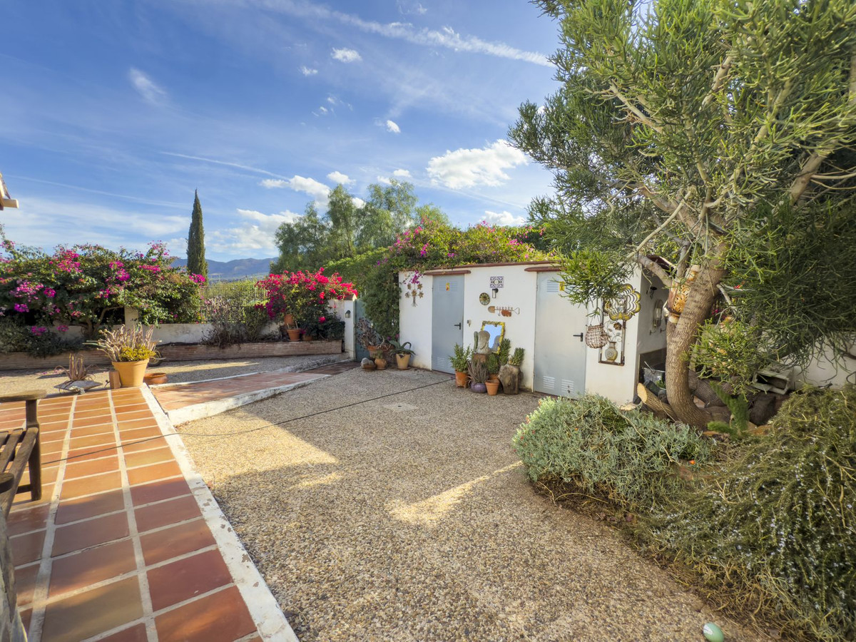 f55a3509a6734ffa80fc59518e19ad7f - 41