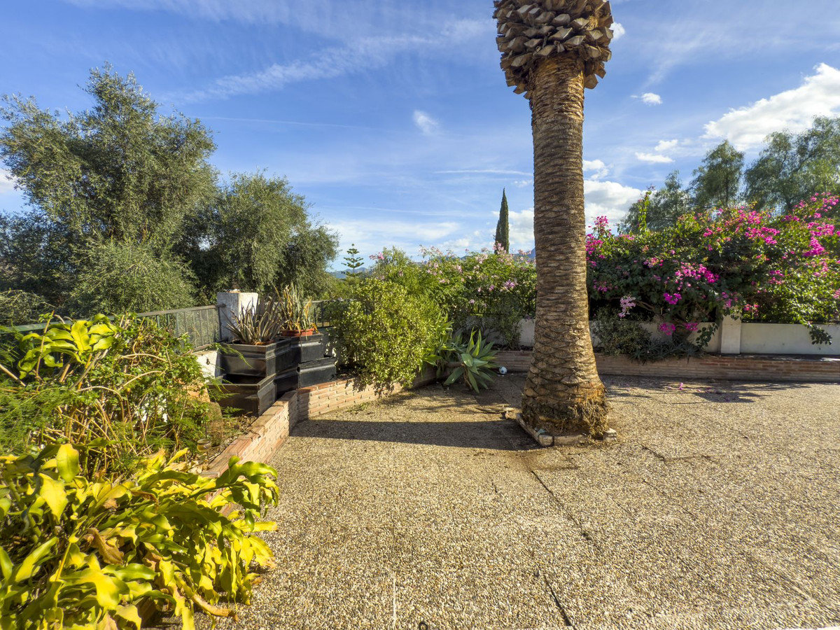 f55a3509a6734ffa80fc59518e19ad7f - 43