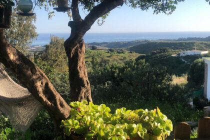 f74edc69f2f7abe306cdafab033af8cf - 1