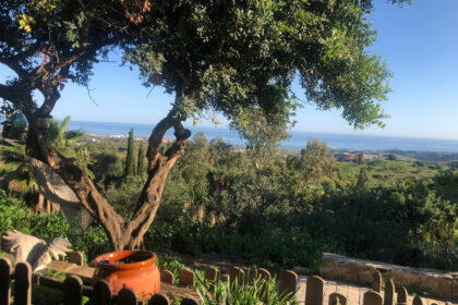 f74edc69f2f7abe306cdafab033af8cf - 16