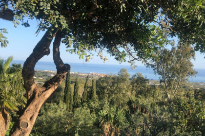 f74edc69f2f7abe306cdafab033af8cf - 17