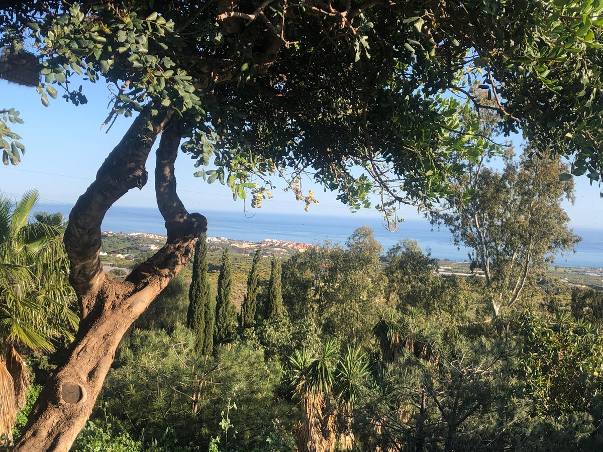 f74edc69f2f7abe306cdafab033af8cf - 17