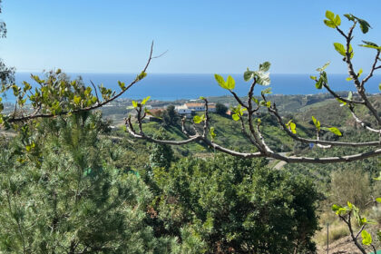 f74edc69f2f7abe306cdafab033af8cf - 4