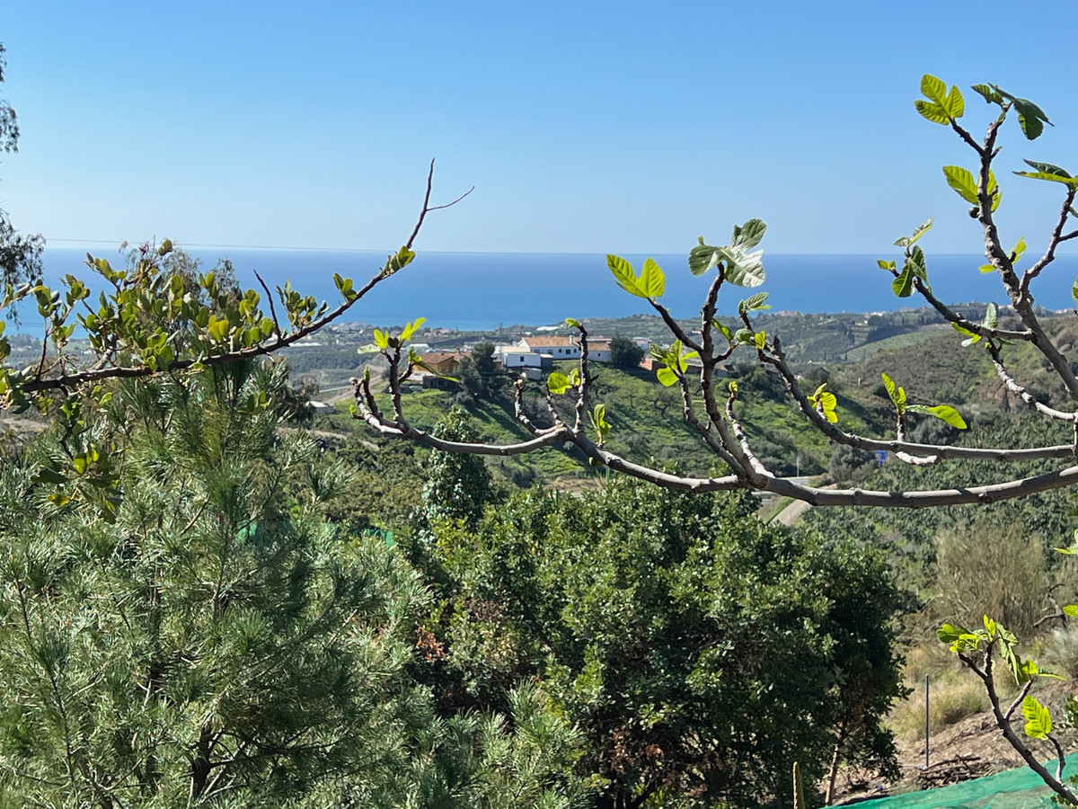 f74edc69f2f7abe306cdafab033af8cf - 4