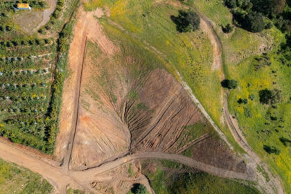 fac57ed722da56e102d46848ab20bed2 - 11