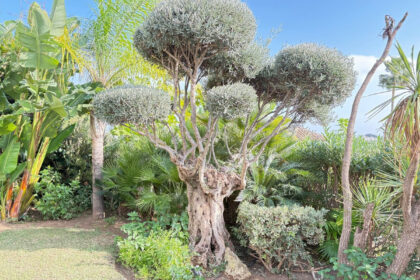 fbaa5d46c52127e83c99ae3954c133c3 - 37