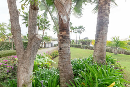 fef6581778a4998fcbce4893e805d4b0 - 3