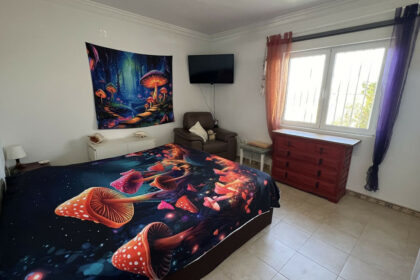 ff496e14b05c086f29ef6cbfd740930e - 7