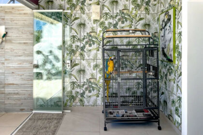 03655cd24c52b301b069a577506d4651 - 12