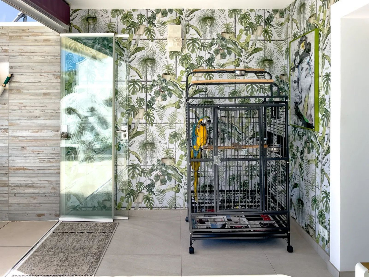 03655cd24c52b301b069a577506d4651 - 12