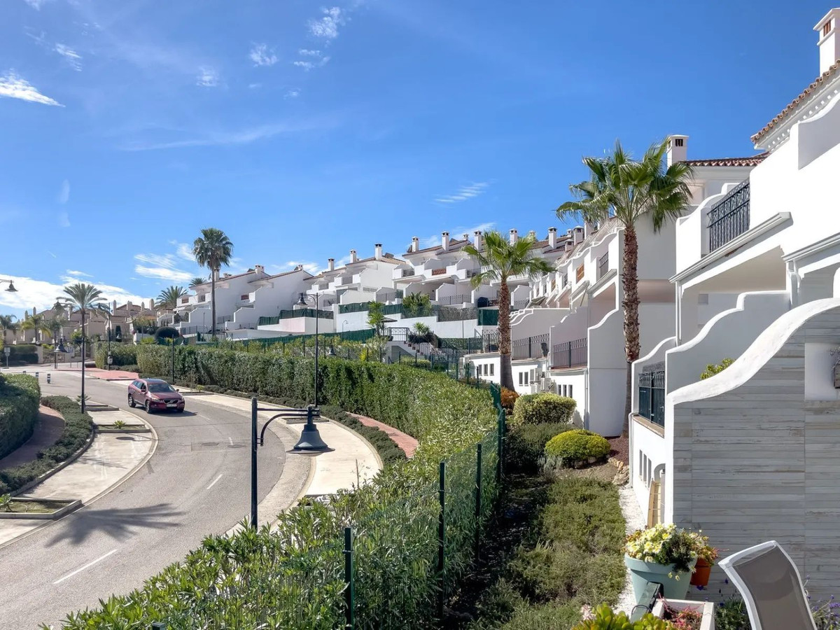 03655cd24c52b301b069a577506d4651 - 44