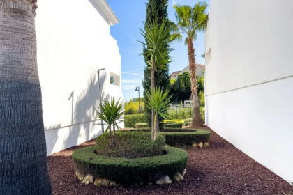 03655cd24c52b301b069a577506d4651 - 45