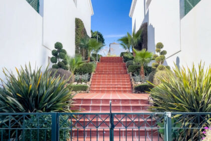 03655cd24c52b301b069a577506d4651 - 48