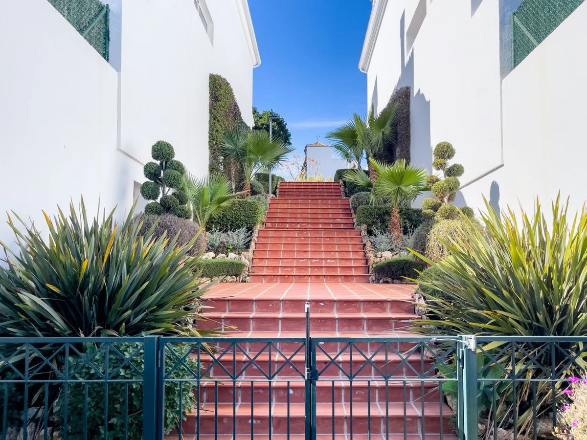 03655cd24c52b301b069a577506d4651 - 48