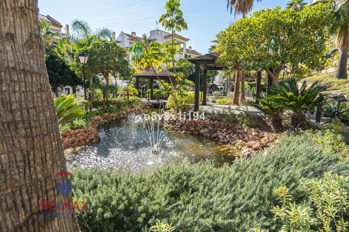 03a370cc34a56a348d36838d65381721 - 34