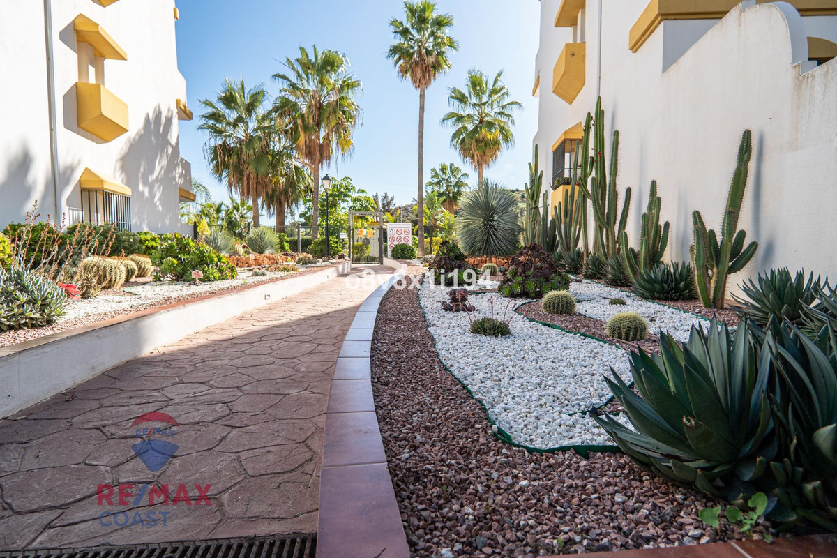 03a370cc34a56a348d36838d65381721 - 37