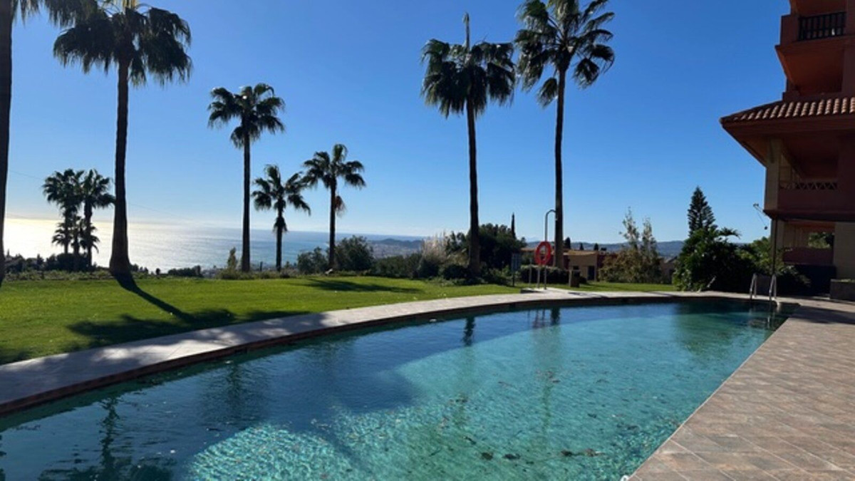 03baca03408175e455804445ee829ca5 - 1