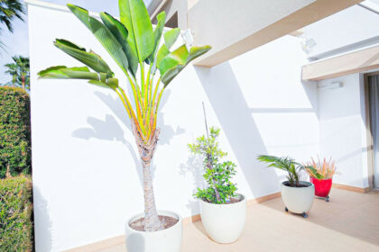 04ef92c0bb54633681a95e2d3960d6ec - 24