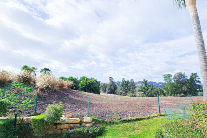 04ef92c0bb54633681a95e2d3960d6ec - 25