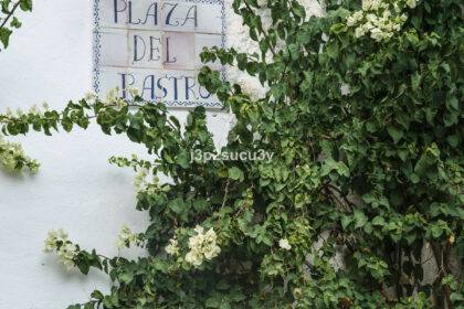 0737054d873e921d5b50d6c06fa72543 - 32