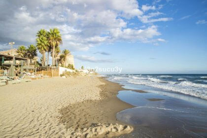 0737054d873e921d5b50d6c06fa72543 - 34