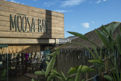 0737054d873e921d5b50d6c06fa72543 - 36