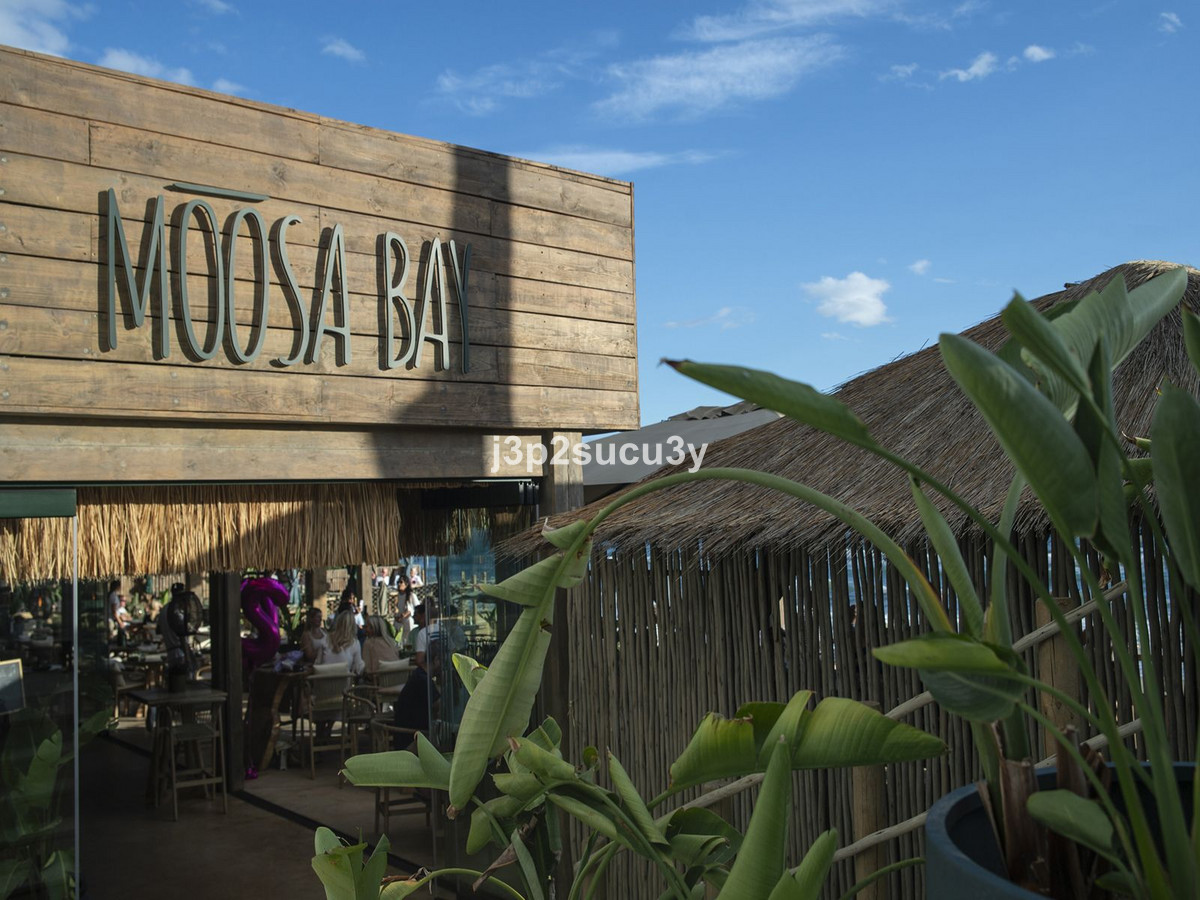 0737054d873e921d5b50d6c06fa72543 - 36