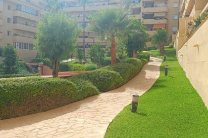 117c2cc22ff2389edef883c48564ff12 - 1