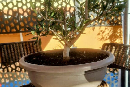 11eec8ba1542033290ff9a60029227c2 - 38