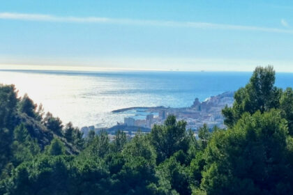 12122f849d37e760448641283abdc9ea - 32