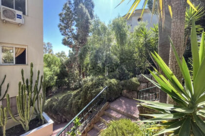 1300b8fbf5e1a5d45d5de415d3e40421 - 24