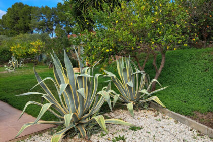 13c91bd561c7ef920242bb62d6e639ae - 31