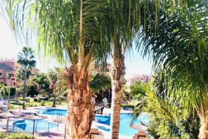 143811d5b44cc911f2dbfe3664c83917 - 5