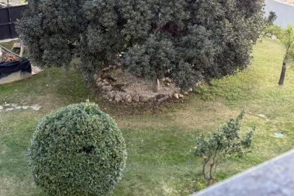 1a3186dd72b3a83040cf0ceeb0762661 - 35