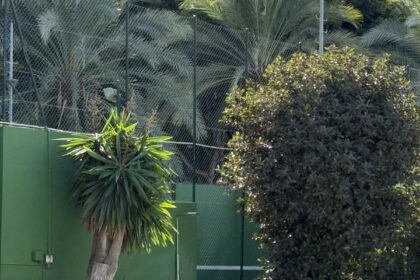 1a3186dd72b3a83040cf0ceeb0762661 - 47