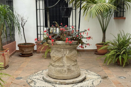 1a3186dd72b3a83040cf0ceeb0762661 - 48