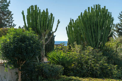 1ad2159b0d35791a78069465e9844388 - 19