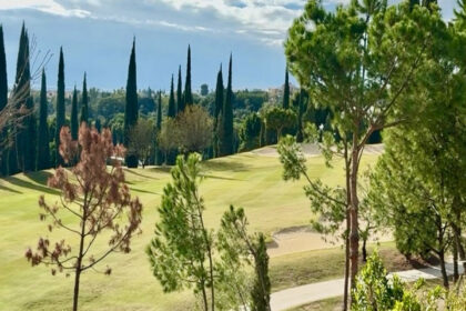 1ea8d5910da25307ce5095e855a57c21 - 22