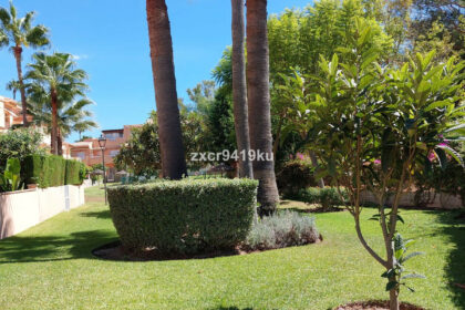 23824d32caf8a4f8eacaad9f0a97c78f - 17