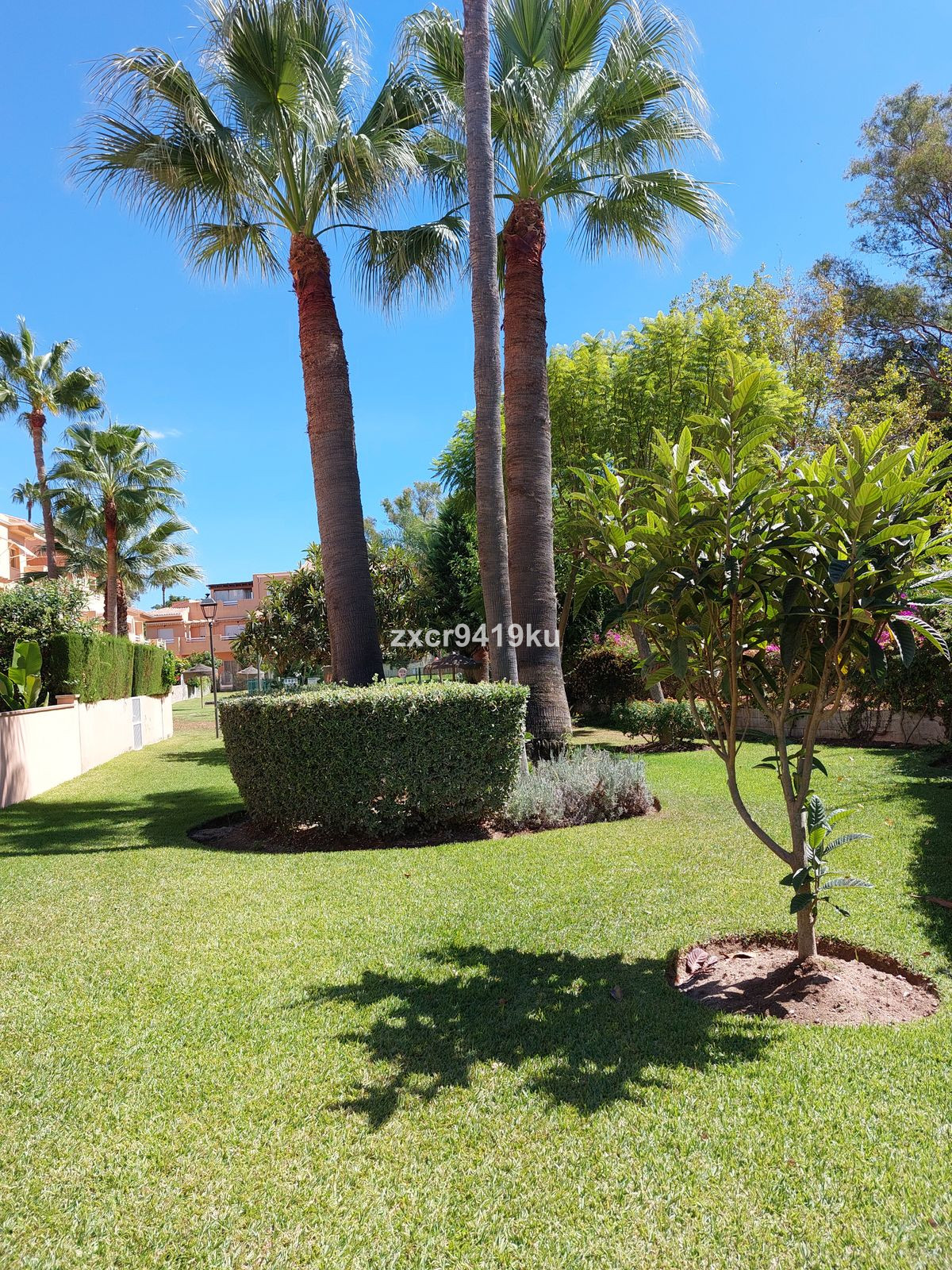 23824d32caf8a4f8eacaad9f0a97c78f - 17