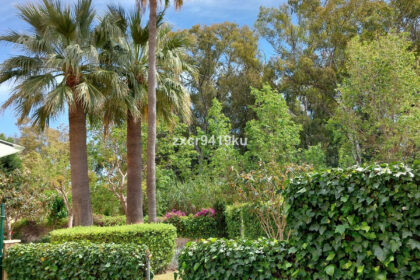 23824d32caf8a4f8eacaad9f0a97c78f - 18