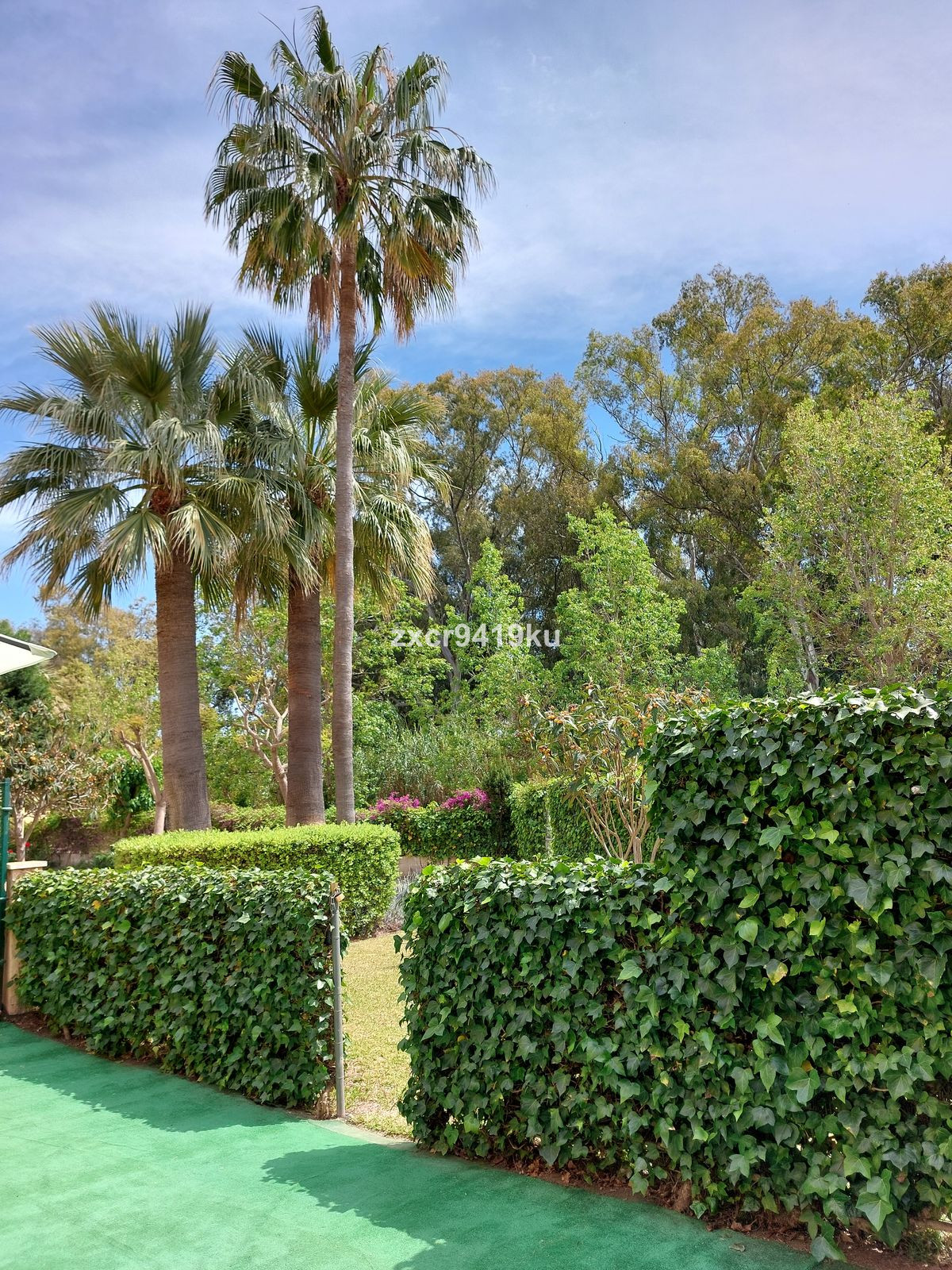 23824d32caf8a4f8eacaad9f0a97c78f - 18